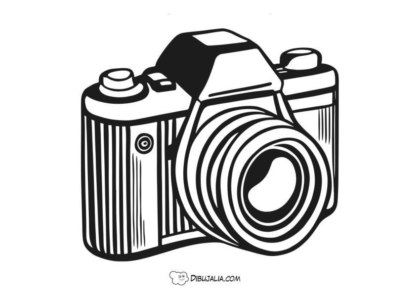 Camara reflex antigua