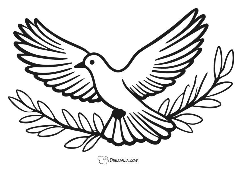 Paloma en rama de olivo
