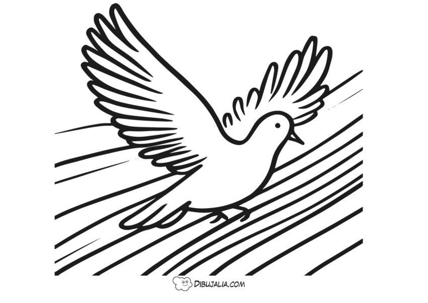 Paloma volando