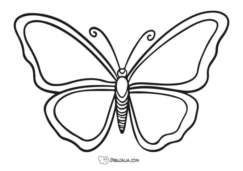 Plantilla de Mariposa