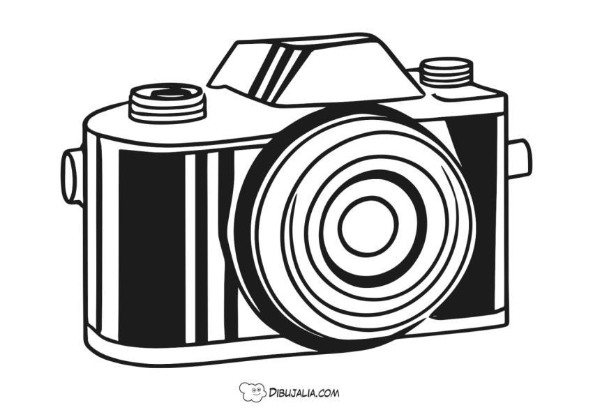 Cámara de Fotografía