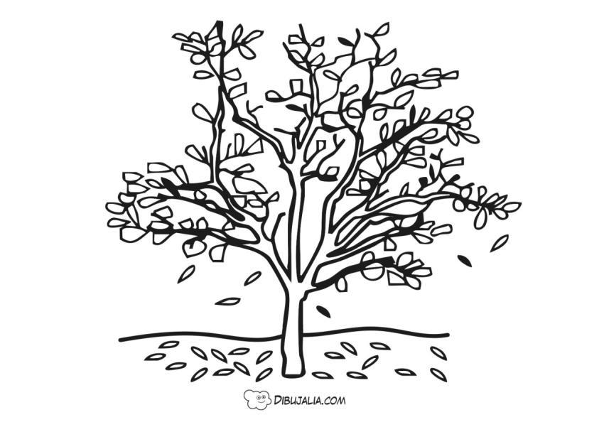 Hojas secas en el árbol