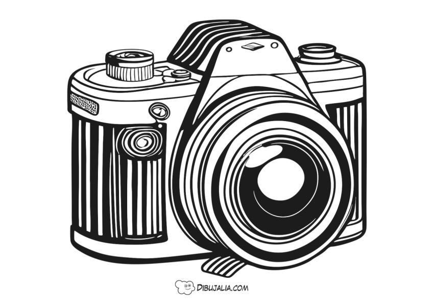 Cámara de fotos Reflex