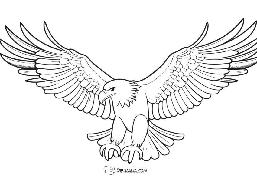 Aguila cazando