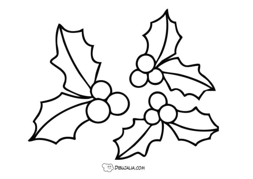 Colección de hojas de acebo