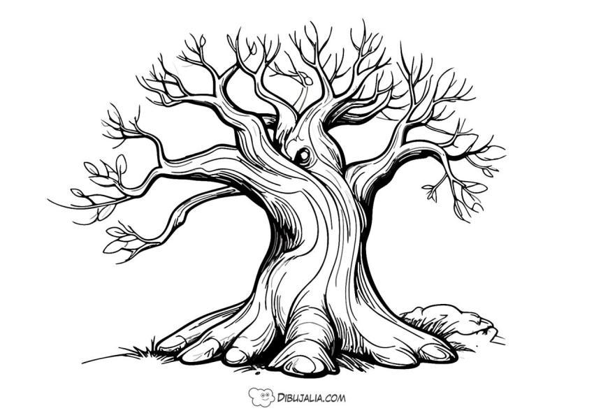 Arbol de invierno sin hojas