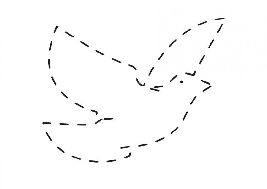 Paloma trazos para infantil