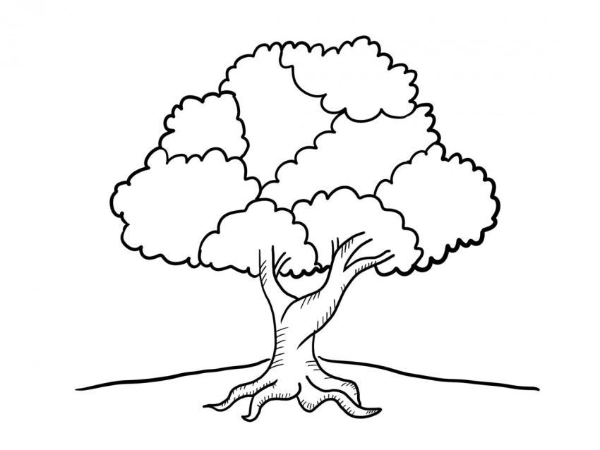 Árbol de valores