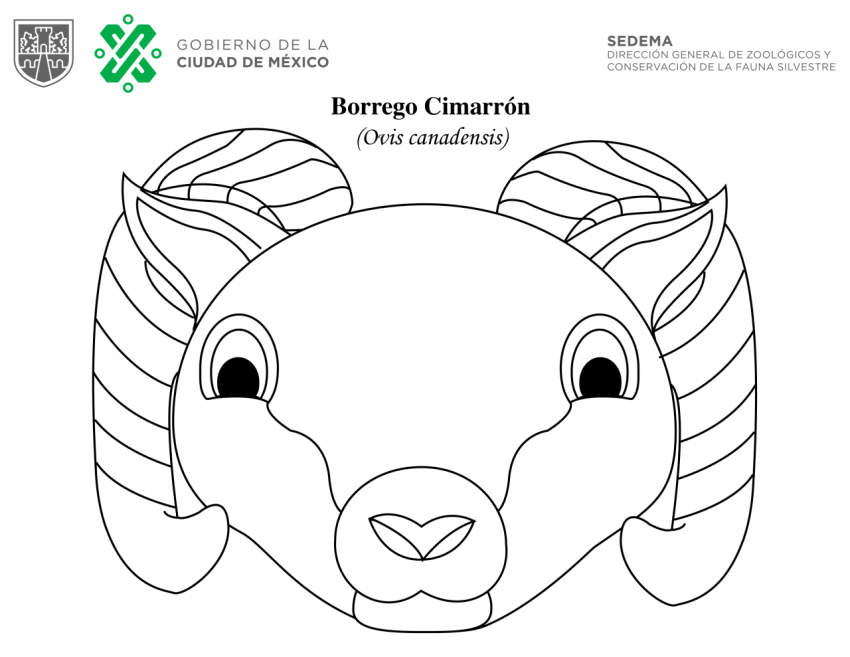Máscara de Borrego o cordero con cuernos