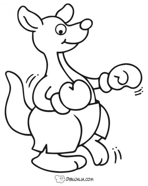 Canguro boxeador divertido