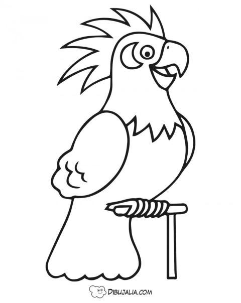 Loro o Ninfa posando contenta