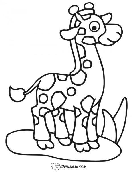 Jirfa bebé muy linda