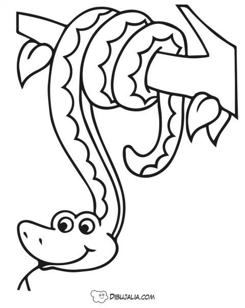 Serpiente Pitón en una rama