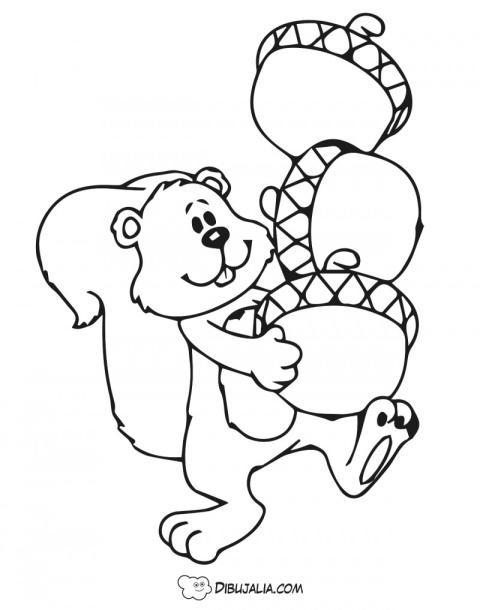 Ardilla con Bellotas