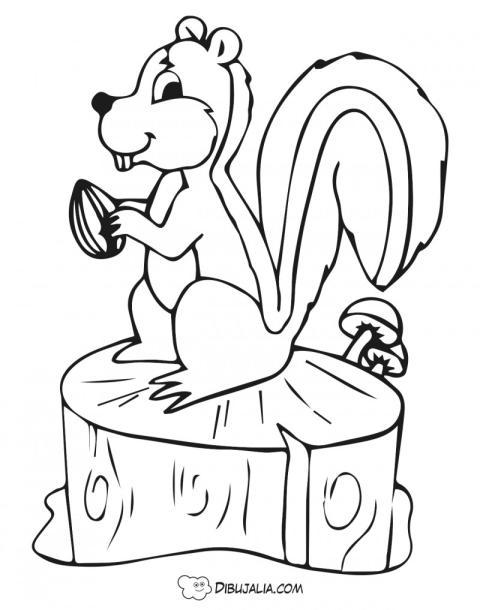 Ardilla tronco bellota