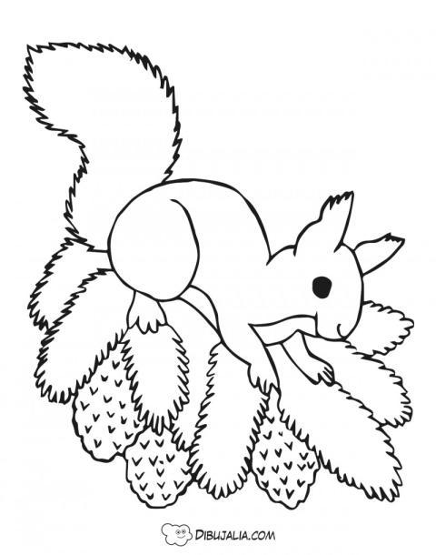 Ardilla arbol con pin?as