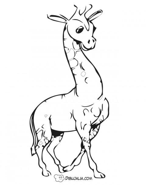 Jirafa completar piel