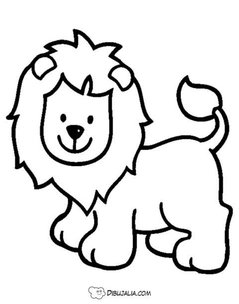 León bebé muy feliz