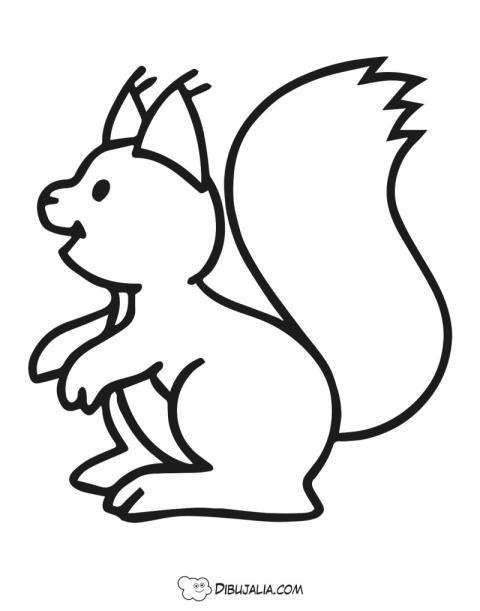 Ardilla divertida