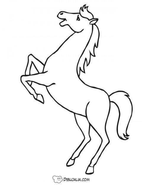 Caballo brincando