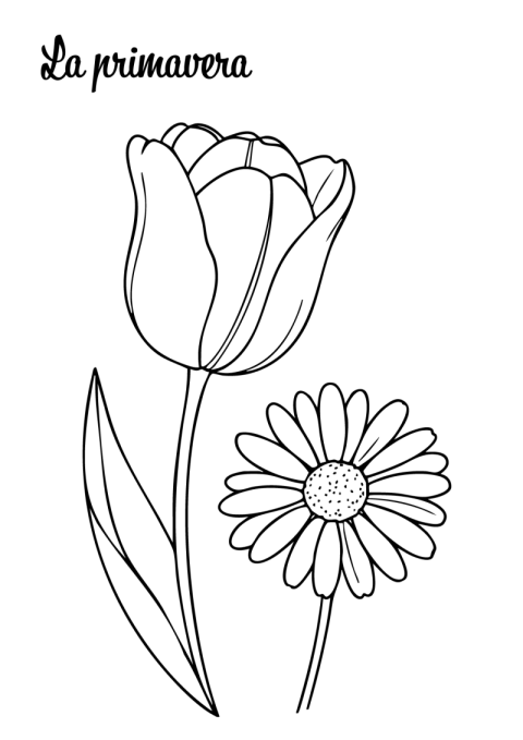 Plantilla de Tulipán y Margarita