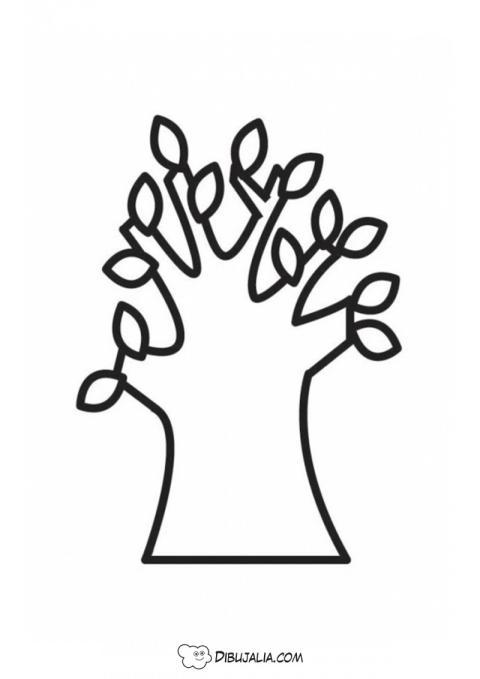 Árbol primeras hojas