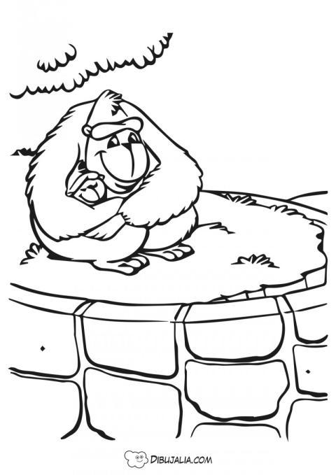 Gorila cuida bebe zoo