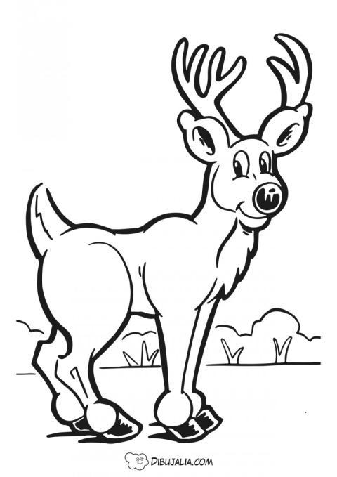 Ciervo macho elegante