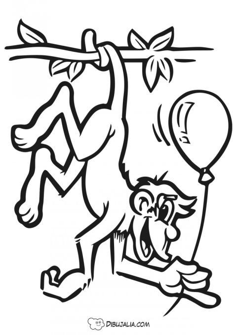 Mono travieso con Globo