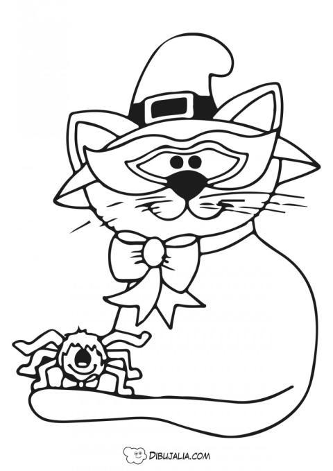 Gato con aran?a