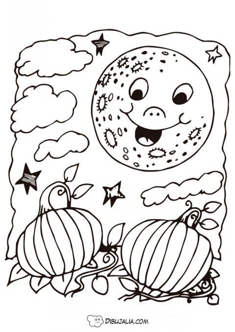 Calabazas bajo la luna