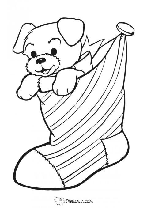 Perrito en calcetin navidad