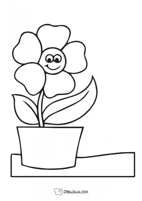 Maceta con margarita