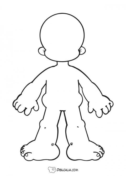 Cuerpo humano para ompletar