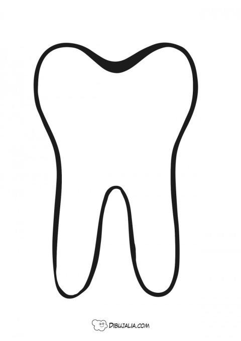 Plantilla de una muela