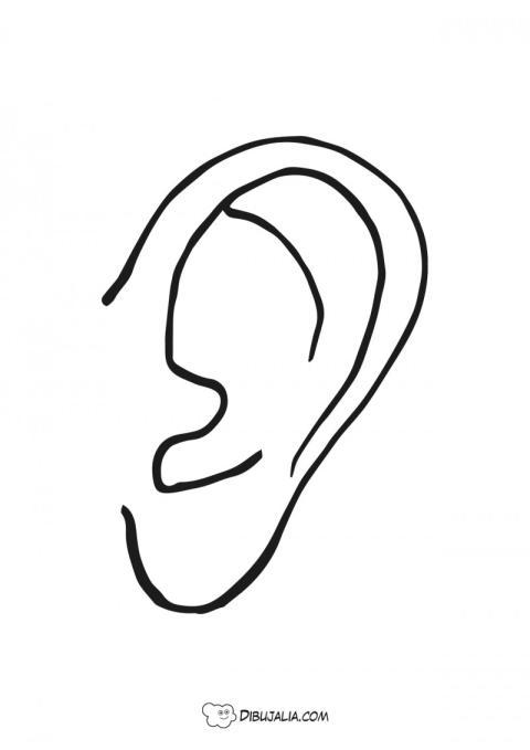 Oreja