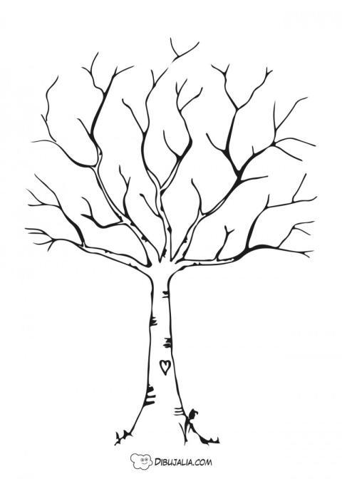 Árbol con mucho corazón