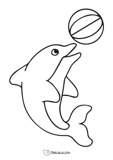 Delfin con pelota