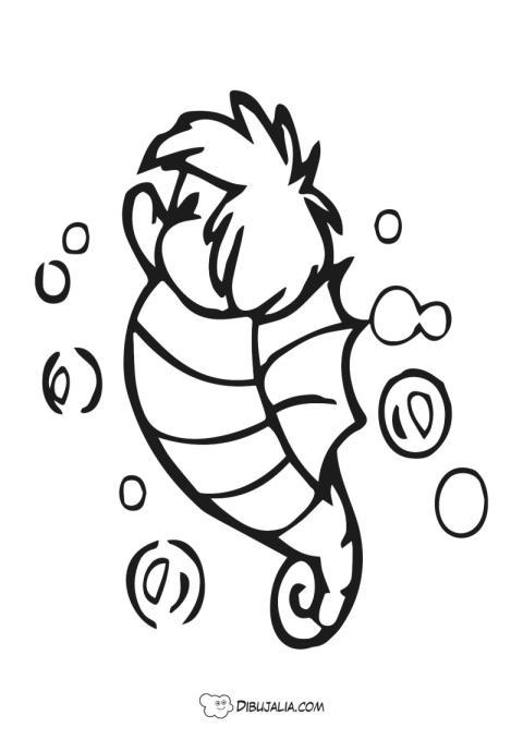 Caballito de mar burbujas