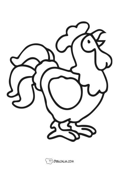 Gallo