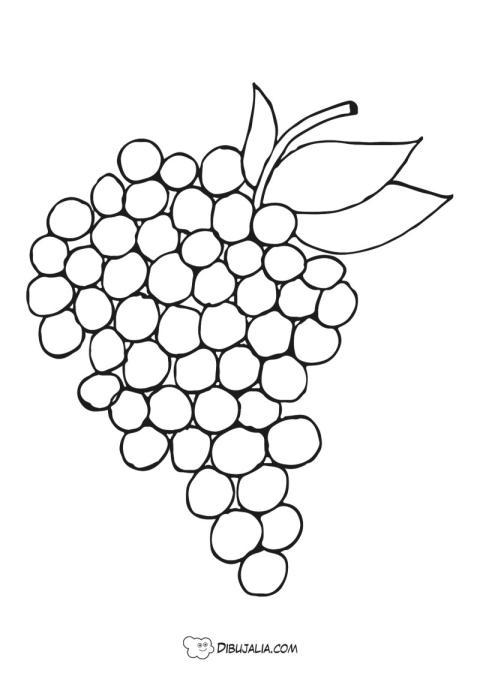 Racimo de uvas