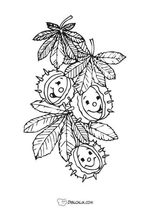 Castan?as en Rama con Caritas