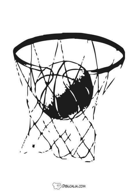 Canasta de baloncesto