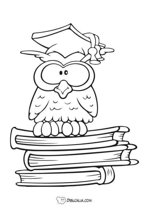 El Buho Sabio de los Libros