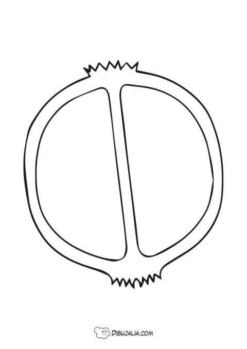 Granada partida por la mitad