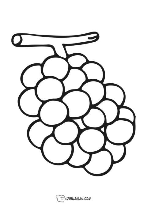 Racimo de uvas