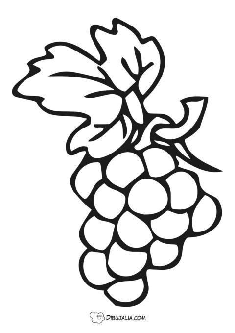 Racimo de uvas con hojas