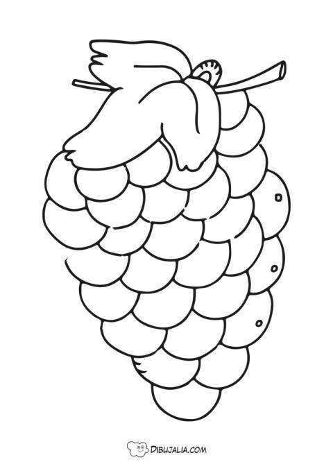 Racimo de uva