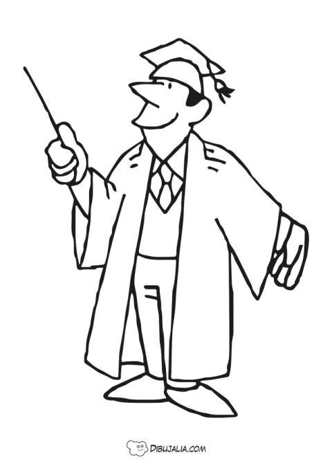 Profesor de universidad