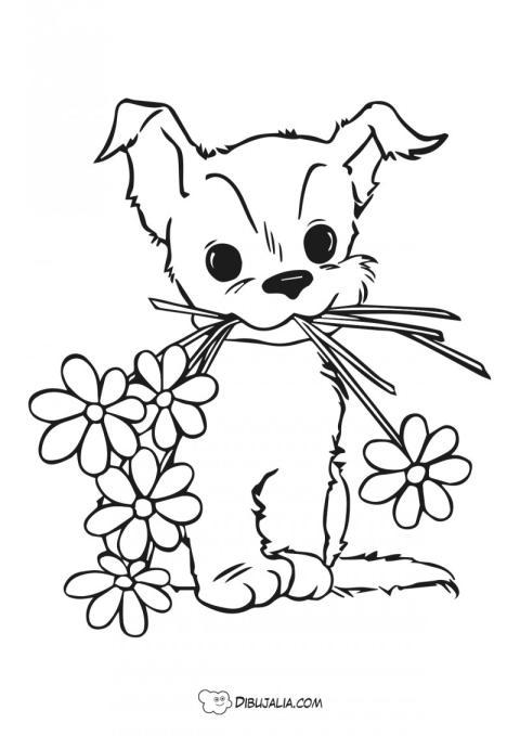 Perrito con ramo de flores